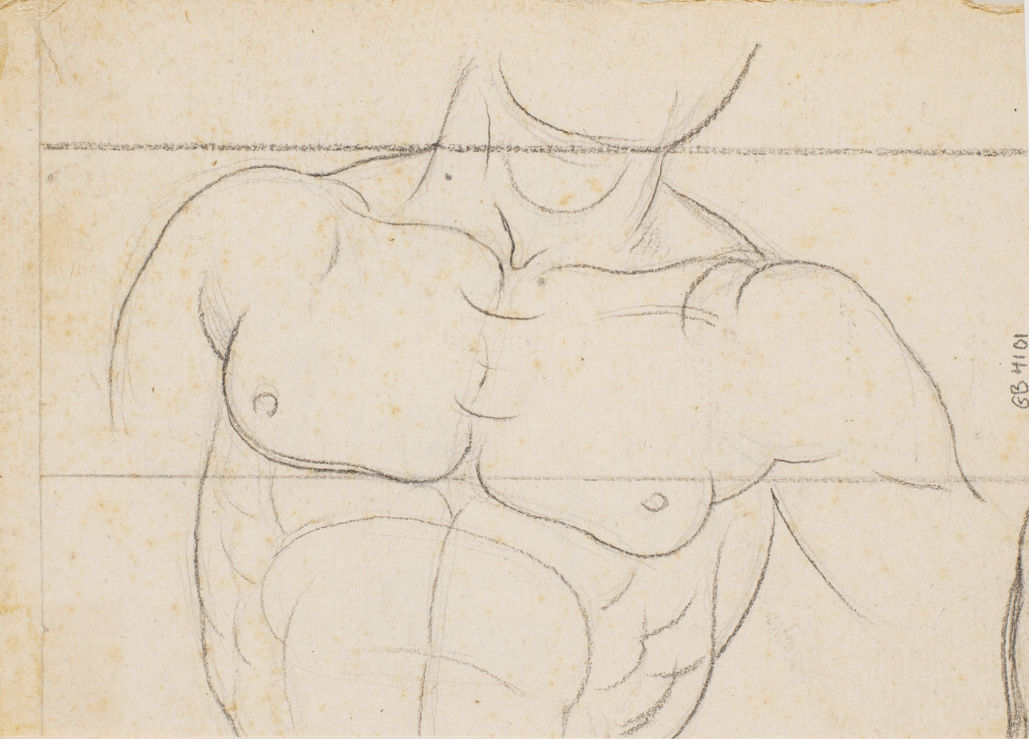 Studie af en mandetorso